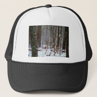 witte staartherten in de sneeuw trucker pet