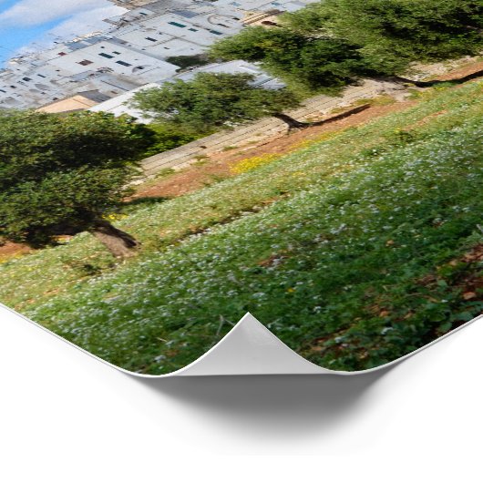 Witte stad Ostuni met olijfbomen, poster van Pugli (Hoek)