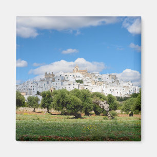 Witte stad Ostuni met olijfbomen, Puglia magneet