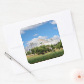 Witte stad Ostuni met olijfbomen, Puglia sticker (Envelop)