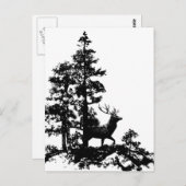  Witte Stag Deer Briefkaart (Voorkant / Achterkant)