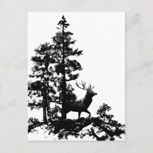  Witte Stag Deer Briefkaart