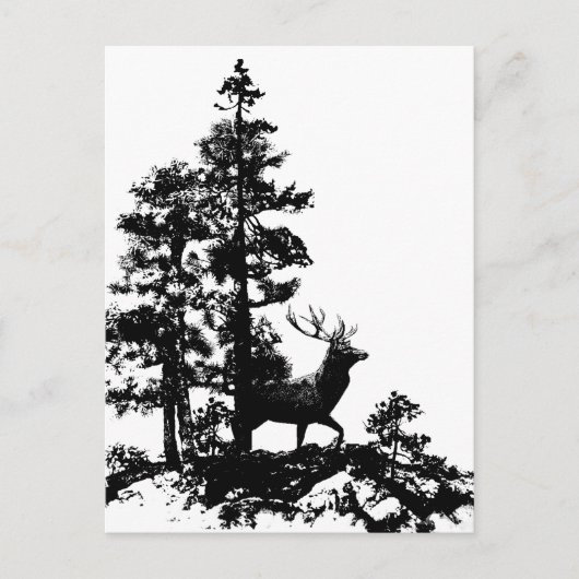  Witte Stag Deer Briefkaart (Voorkant)