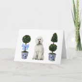 Witte Standaard Poedel Hond Puppy Topiary Waterver Kaart (Voorkant)