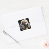 Witte Standaard Poedel Puppy Hond op Zwart Vierkante Sticker (Envelop)