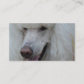 Witte standaardpoel visitekaartje (Achterkant)