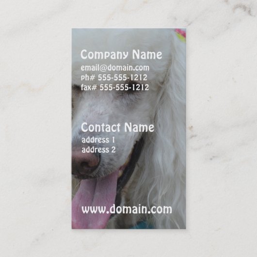 Witte standaardpoel visitekaartje (Voorkant)