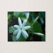  witte Stephanotis-bloem Legpuzzel (Horizontaal)
