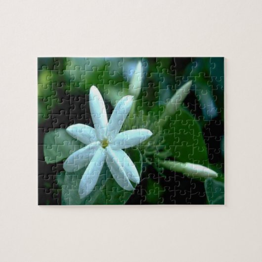witte Stephanotis-bloem Legpuzzel (Horizontaal)