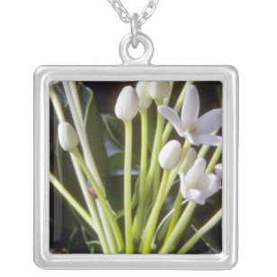 witte Stephanotis floribunda-bloemen Zilver Vergulden Ketting