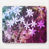 Witte ster bloem Muismat (Voorkant)