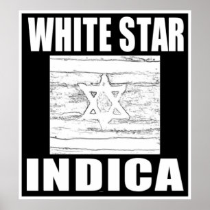 WITTE STER INDICA POSTER