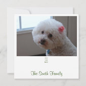 Witte Sterren Foto Kerst Kaart (Achterkant)