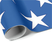 Witte sterren op blauw cadeaupapier (Rol Hoek)