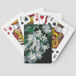 Witte sterren    pokerkaarten