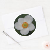 witte sticker (Envelop)