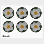 witte sticker (Vel)
