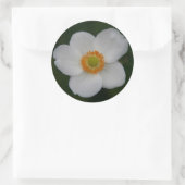 witte sticker (Tas)