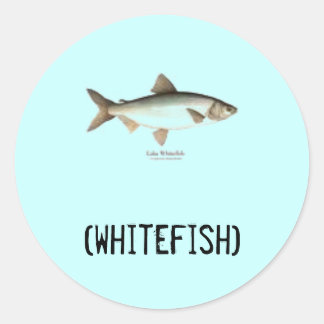 Witte stickers