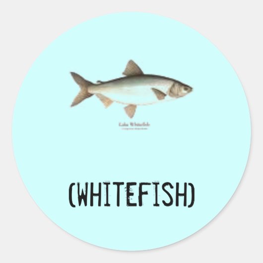 Witte stickers (Voorkant)