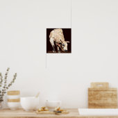 Witte Stier Die Buckt Voor Rodeo Poster (Keuken)