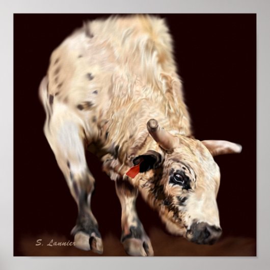 Witte Stier Die Buckt Voor Rodeo Poster (Voorkant)
