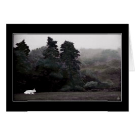 Witte stier tegen een beschilderde Kaart