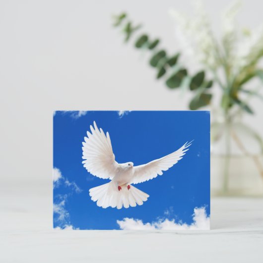 Witte stip briefkaart (Staand voorkant)