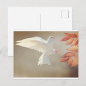 witte stip briefkaart (Voorkant / Achterkant)