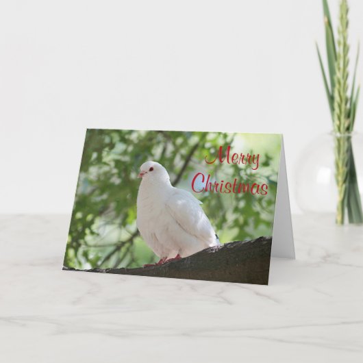 Witte stip feestdagen kaart (Voorkant)