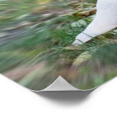 Witte stip poster (Hoek)