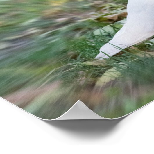 Witte stip poster (Hoek)