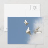 Witte stippen vliegen briefkaart (Voorkant / Achterkant)