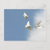 Witte stippen vliegen briefkaart (Voorkant)
