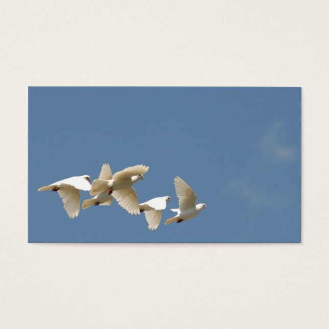 Witte stippen vliegen visitekaartje (Voorkant)