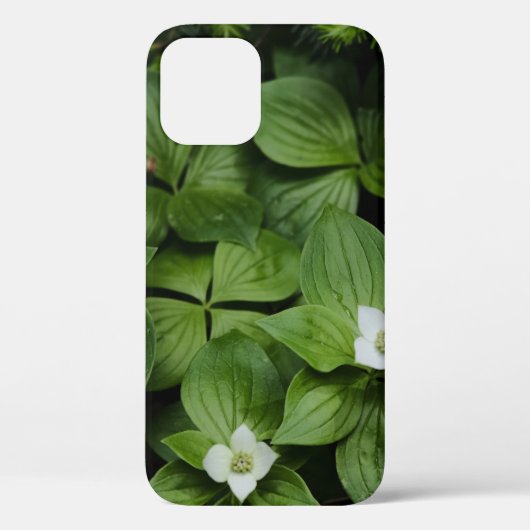 WITTE STROOM MET GROENE LEAVES Case-Mate iPhone CASE (Achterkant)