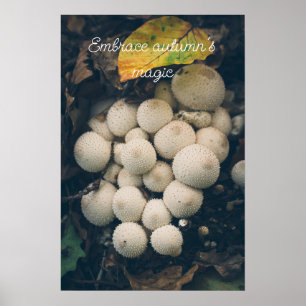 Witte stuifzwammen tussen herfstbladeren poster
