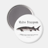 Witte Sturgeon Titelitems Magneet (Voorkant / Achterkant)