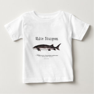 Witte Sturgeon Titled items