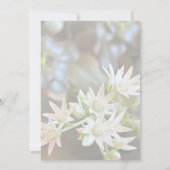 Witte succulente bloemenachtergrond Vrijgezellenfe Kaart (Achterkant)