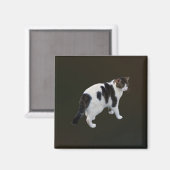 Witte tablet met donkere pleisters magneet (Voorkant / Achterkant)