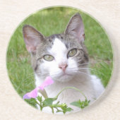 Witte tabletten Kat en Roze Petunia Zandsteen Onderzetter (Voorkant)