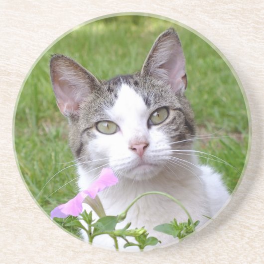 Witte tabletten Kat en Roze Petunia Zandsteen Onderzetter (Voorkant)