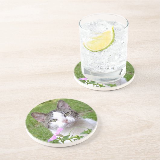 Witte tabletten Kat en Roze Petunia Zandsteen Onderzetter (Zijkant)