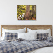 Witte takwaterval, Oregon Cascades, Oregon Canvas Afdruk (Insitu (Slaapkamer))