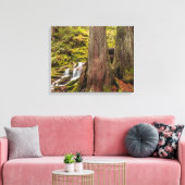 Witte takwaterval, Oregon Cascades, Oregon Canvas Afdruk (Insitu (Woonkamer))