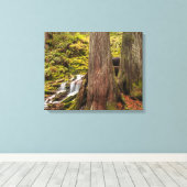 Witte takwaterval, Oregon Cascades, Oregon Canvas Afdruk (Insitu (Houten vloer))