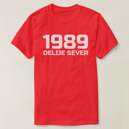 Witte tekst verdeelt het noorden 1989 t-shirt (Design voorkant)
