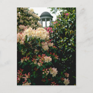 Witte tempel onder bloemen - Kew Gardens, Engeland Briefkaart