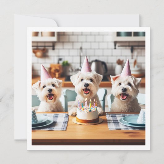 Witte terrier kaart, Witte terrier verjaardag Kaart (Voorkant)